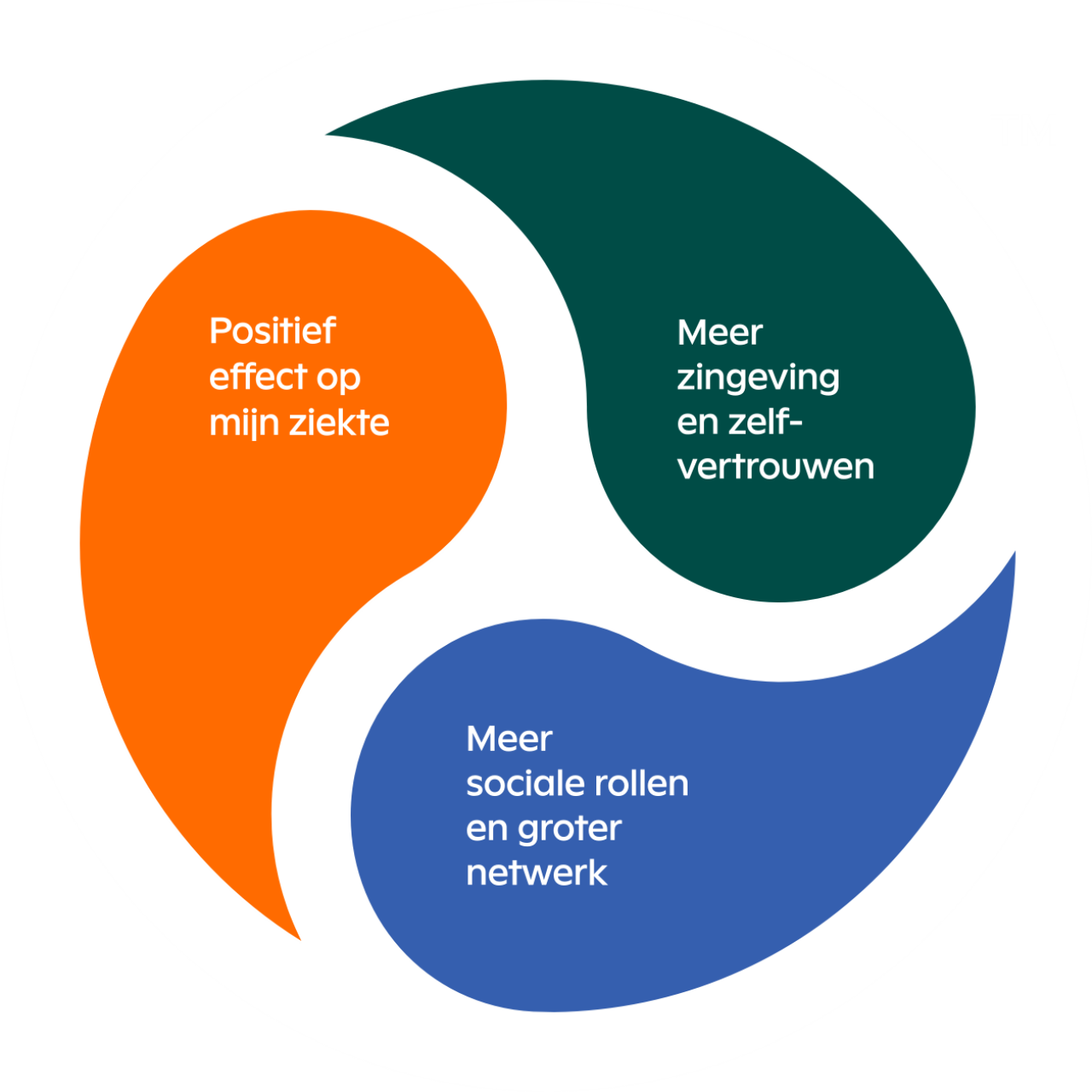 sociale benadering dementie